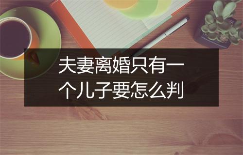 夫妻离婚只有一个儿子要怎么判