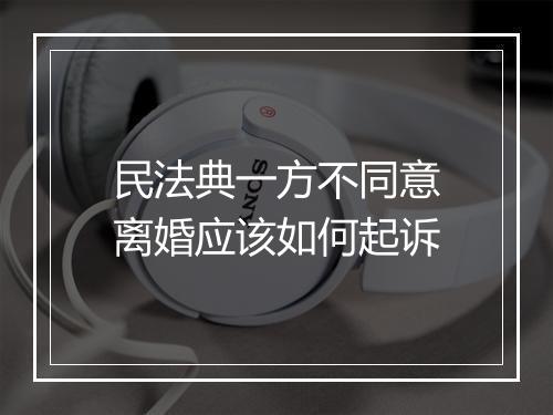 民法典一方不同意离婚应该如何起诉