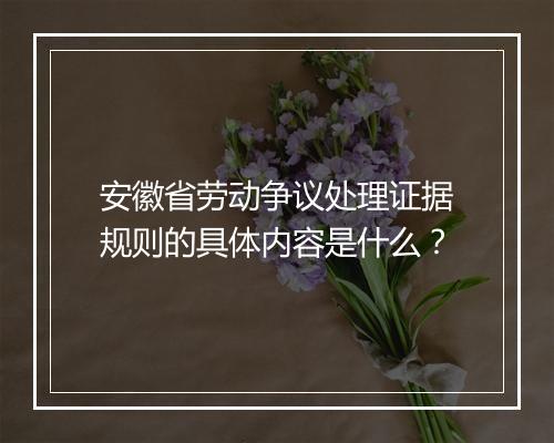 安徽省劳动争议处理证据规则的具体内容是什么？