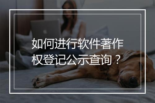 如何进行软件著作权登记公示查询？