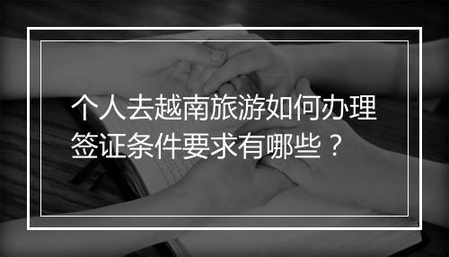 个人去越南旅游如何办理签证条件要求有哪些？