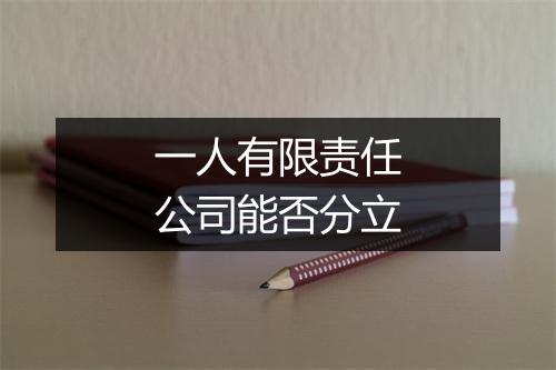 一人有限责任公司能否分立