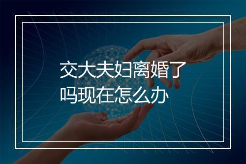 交大夫妇离婚了吗现在怎么办