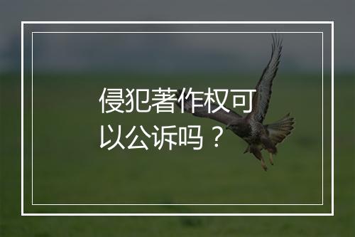 侵犯著作权可以公诉吗？
