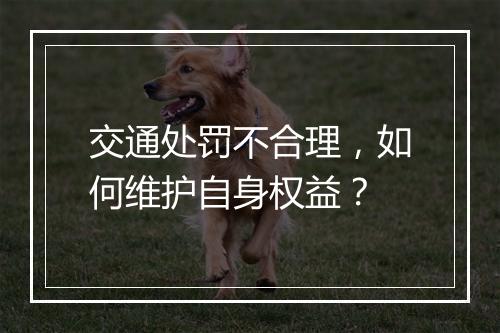 交通处罚不合理，如何维护自身权益？