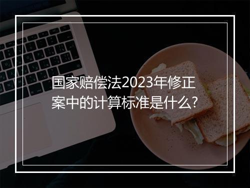国家赔偿法2023年修正案中的计算标准是什么?
