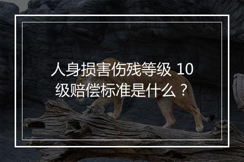 人身损害伤残等级 10 级赔偿标准是什么？