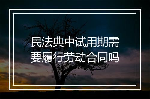 民法典中试用期需要履行劳动合同吗