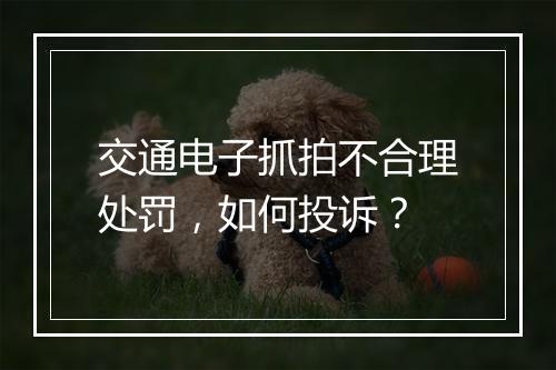 交通电子抓拍不合理处罚，如何投诉？