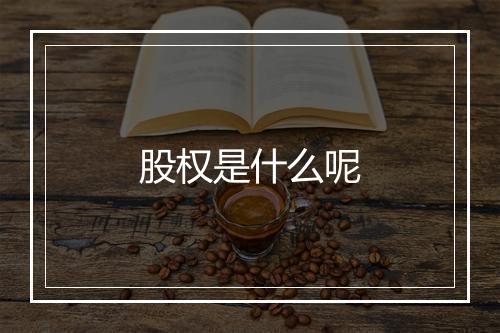 股权是什么呢