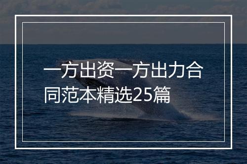 一方出资一方出力合同范本精选25篇