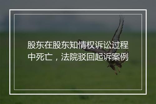 股东在股东知情权诉讼过程中死亡，法院驳回起诉案例