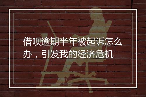 借呗逾期半年被起诉怎么办，引发我的经济危机