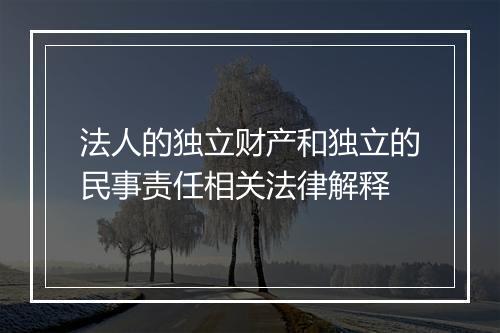 法人的独立财产和独立的民事责任相关法律解释