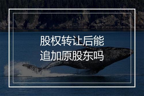 股权转让后能追加原股东吗