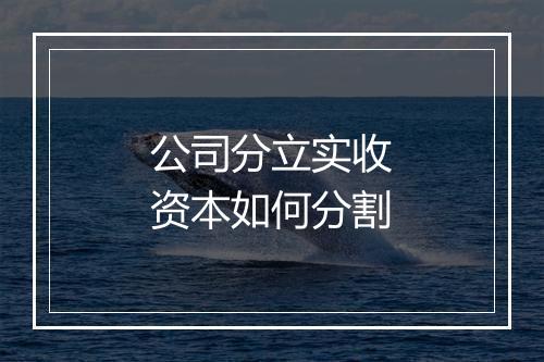 公司分立实收资本如何分割