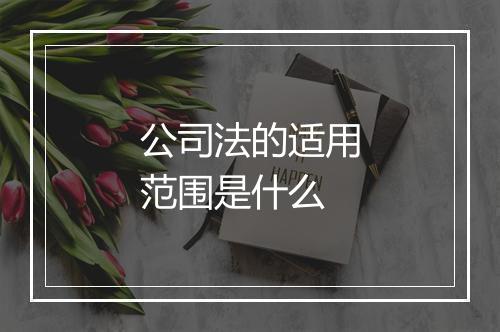 公司法的适用范围是什么