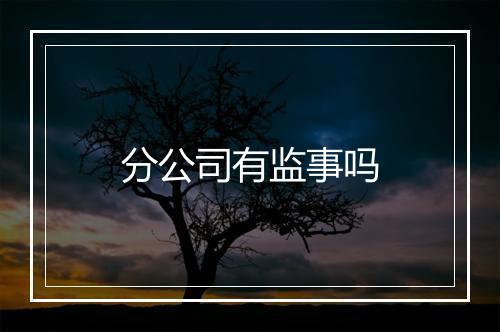 分公司有监事吗