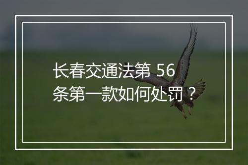 长春交通法第 56 条第一款如何处罚？