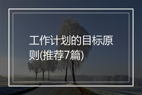工作计划的目标原则(推荐7篇)
