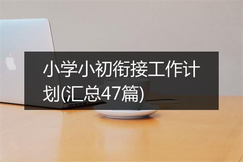 小学小初衔接工作计划(汇总47篇)
