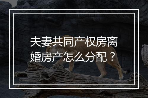 夫妻共同产权房离婚房产怎么分配？