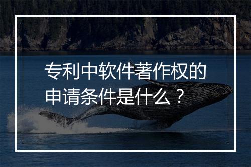 专利中软件著作权的申请条件是什么？