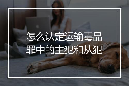 怎么认定运输毒品罪中的主犯和从犯