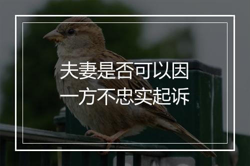 夫妻是否可以因一方不忠实起诉