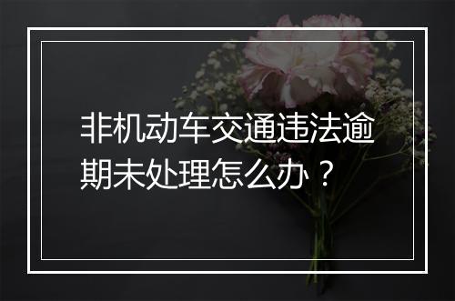 非机动车交通违法逾期未处理怎么办？