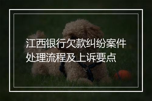 江西银行欠款纠纷案件处理流程及上诉要点