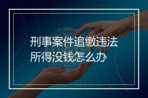 刑事案件追缴违法所得没钱怎么办