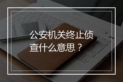 公安机关终止侦查什么意思？