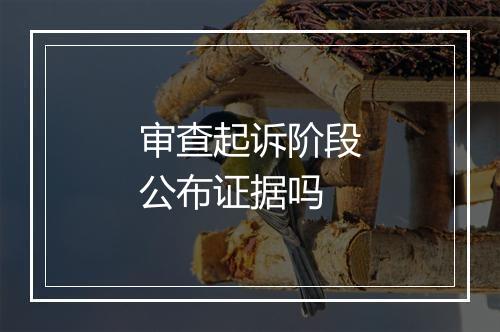 审查起诉阶段公布证据吗