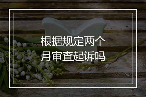 根据规定两个月审查起诉吗