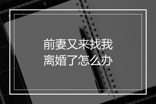 前妻又来找我离婚了怎么办
