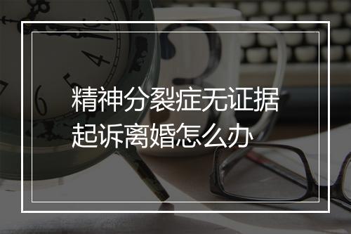 精神分裂症无证据起诉离婚怎么办
