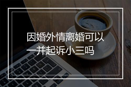 因婚外情离婚可以一并起诉小三吗