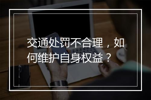 交通处罚不合理，如何维护自身权益？