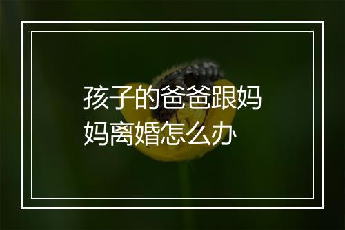 孩子的爸爸跟妈妈离婚怎么办