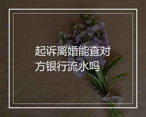起诉离婚能查对方银行流水吗