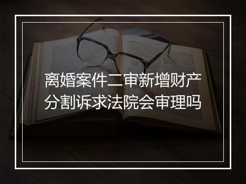离婚案件二审新增财产分割诉求法院会审理吗