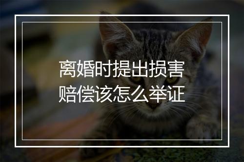 离婚时提出损害赔偿该怎么举证