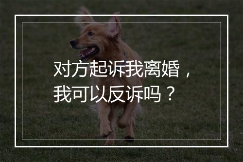 对方起诉我离婚，我可以反诉吗？