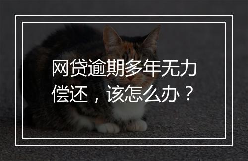 网贷逾期多年无力偿还，该怎么办？