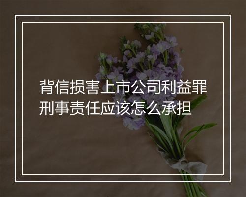 背信损害上市公司利益罪刑事责任应该怎么承担