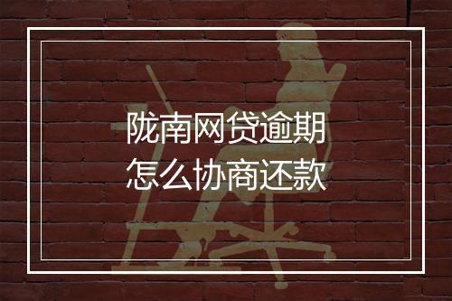 陇南网贷逾期怎么协商还款