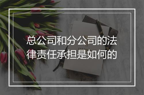 总公司和分公司的法律责任承担是如何的