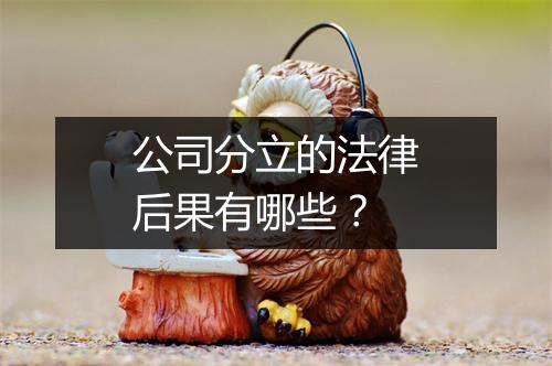 公司分立的法律后果有哪些？