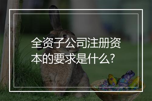 全资子公司注册资本的要求是什么?